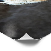 Poster Portrait de Lion (Coin)