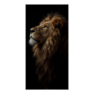 Poster Portrait de Lion Majestueux Force & Confiance Roya