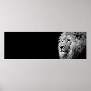 Poster Portrait de Lion noir blanc - Photographie d'anima