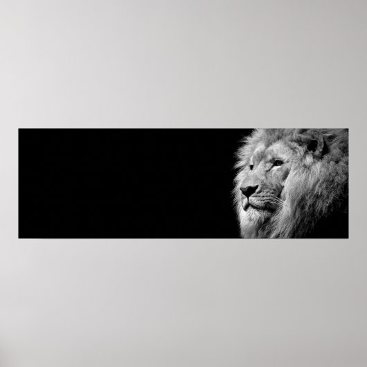 Poster Portrait de Lion noir blanc - Photographie d'anima (Devant)