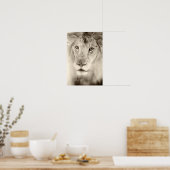 Poster Portrait de lion noir et blanc (Cuisine)