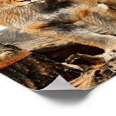 Poster Portrait de Lioness (Coin)
