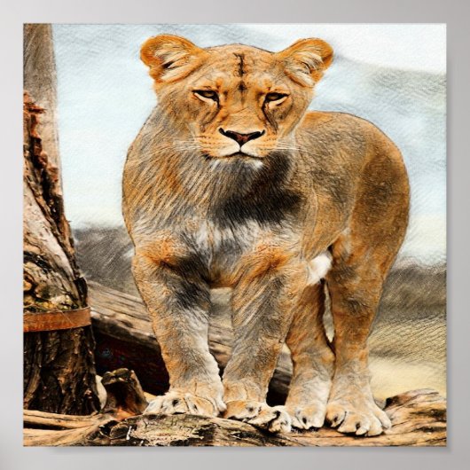 Poster Portrait de Lioness (Devant)