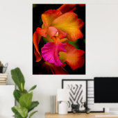 Poster Portrait de l'orchidée de Cattleya (Bureau à domicile)