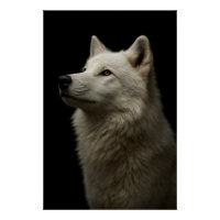 Portrait de Loup Majestueux Force & Confiance Roya