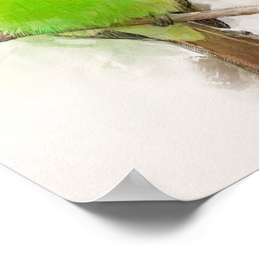 Poster Portrait de mangeur d'abeilles vert (Coin)