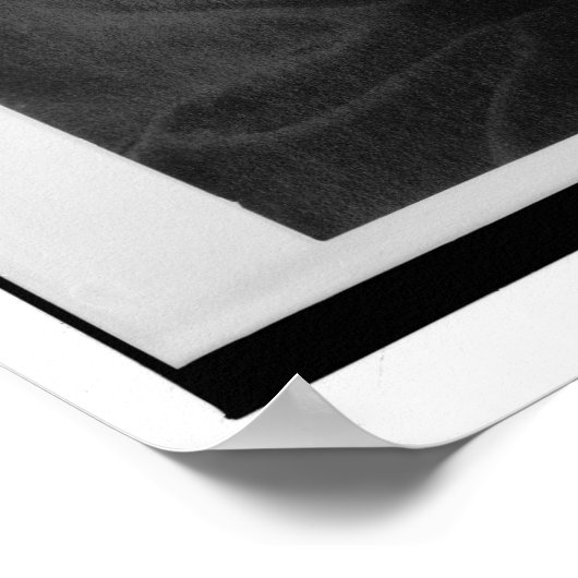 Poster Portrait de Mary McLeod Bethune (Coin)