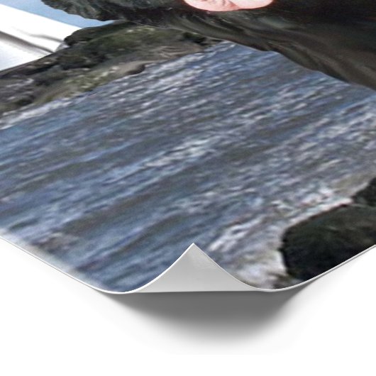 Poster Portrait de Newfoundland (Coin)