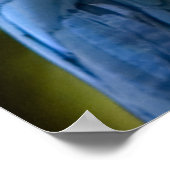 Poster Portrait de perroquet amazonien (Coin)