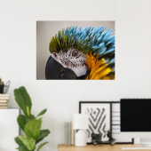 Poster Portrait de perroquet de Macaw - Beaux-Arts (Bureau à domicile)