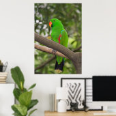 Poster Portrait de perroquet vert (Bureau à domicile)
