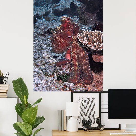 Poster Portrait de pieuvre de Gili (Bureau à domicile)