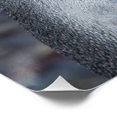 Poster Portrait de pingouin (Coin)