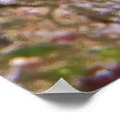 Poster Portrait de poisson-dartfish (Coin)