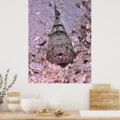 Poster Portrait de poisson-Lézard (Cuisine)