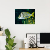 Poster Portrait de poisson-porc de l'Atlantique (Bureau à domicile)