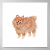 Poster Portrait de Poméranie peint (Devant)