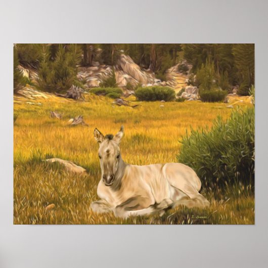 Poster Portrait de poulain de cheval buckskin (Devant)