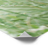 Poster Portrait de prairie paisible de Gorilla (Coin)