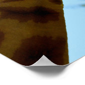 Poster Portrait de profil de girafe manger feuille vacanc (Coin)