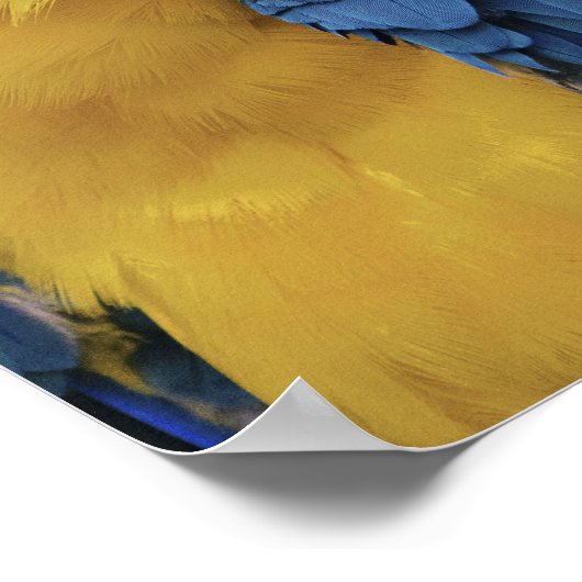 Poster Portrait de profil de perroquet (Coin)