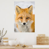 Poster Portrait de renard roux (Cuisine)
