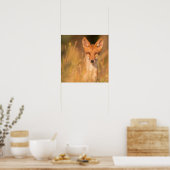 Poster Portrait de renard roux dans l'herbe dorée (Cuisine)