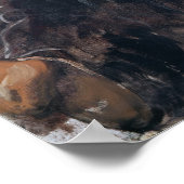 Poster Portrait de Robert Louis Stevenson 1886 (Coin)