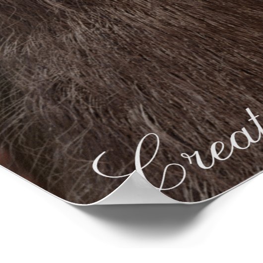 POSTER PORTRAIT DE SASQUATCH BIGFOOT (Coin)