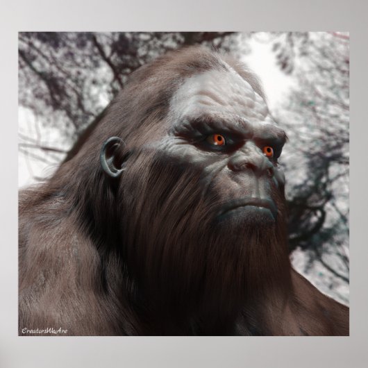 POSTER PORTRAIT DE SASQUATCH BIGFOOT (Devant)