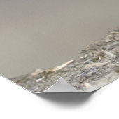 Poster Portrait de Seal Pup sur la plage (Coin)