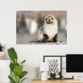 Poster Portrait de Seal Pup sur la plage (Bureau à domicile)