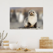Poster Portrait de Seal Pup sur la plage (Cuisine)