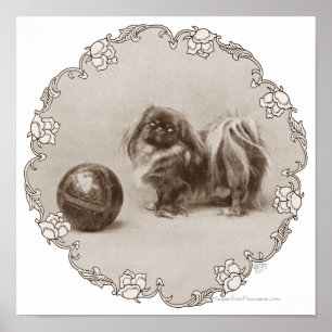 Poster Portrait de Sepia Pekingese