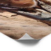 Poster Portrait de singe Cowboy (Coin)