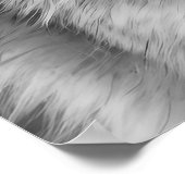 Poster Portrait de tête de coyote noir blanc (Coin)