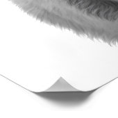 Poster Portrait de tête de vache des Highlands noir et bl (Coin)