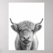 Poster Portrait de tête de vache Highland, noir et blanc (Devant)