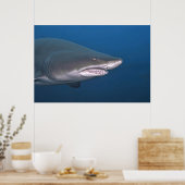 Poster Portrait de tigre de sable (Cuisine)