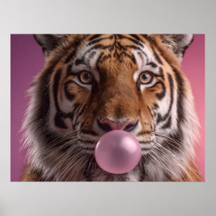 Poster Portrait de tigre du Bengale soufflant un bubble-g