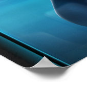 Poster Portrait de Tilikum (Coin)