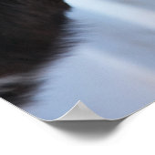 Poster Portrait de vache (Coin)