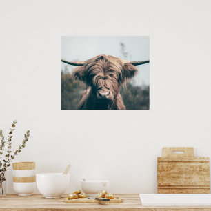 Poster Portrait de vache highland