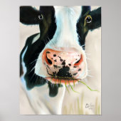 Poster Portrait de vache noir et blanc (Devant)
