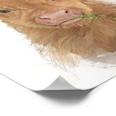 Poster Portrait de veau de vache Highland (Coin)