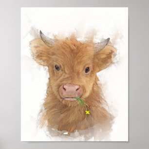 Poster Portrait de veau de vache Highland