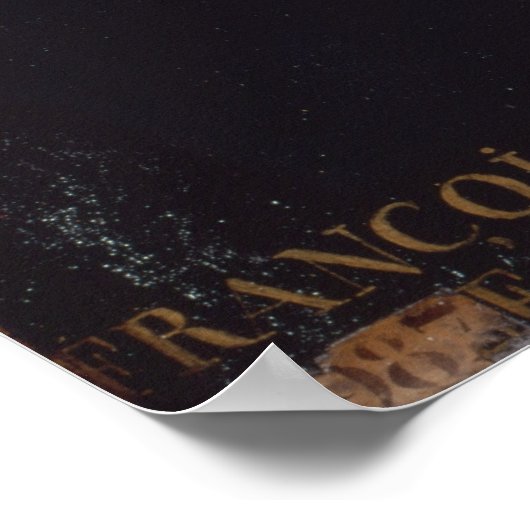 Poster Portrait de Voltaire (Coin)