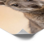 Poster Portrait de Wallaby Bébé – Mur d'animaux de nurser (Coin)