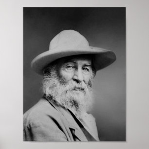 Poster Portrait de Walt Whitman