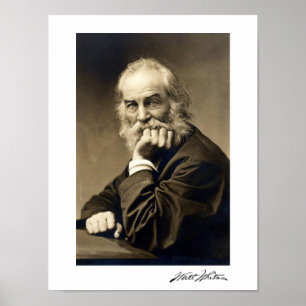 Poster Portrait de Walt Whitman (1869)